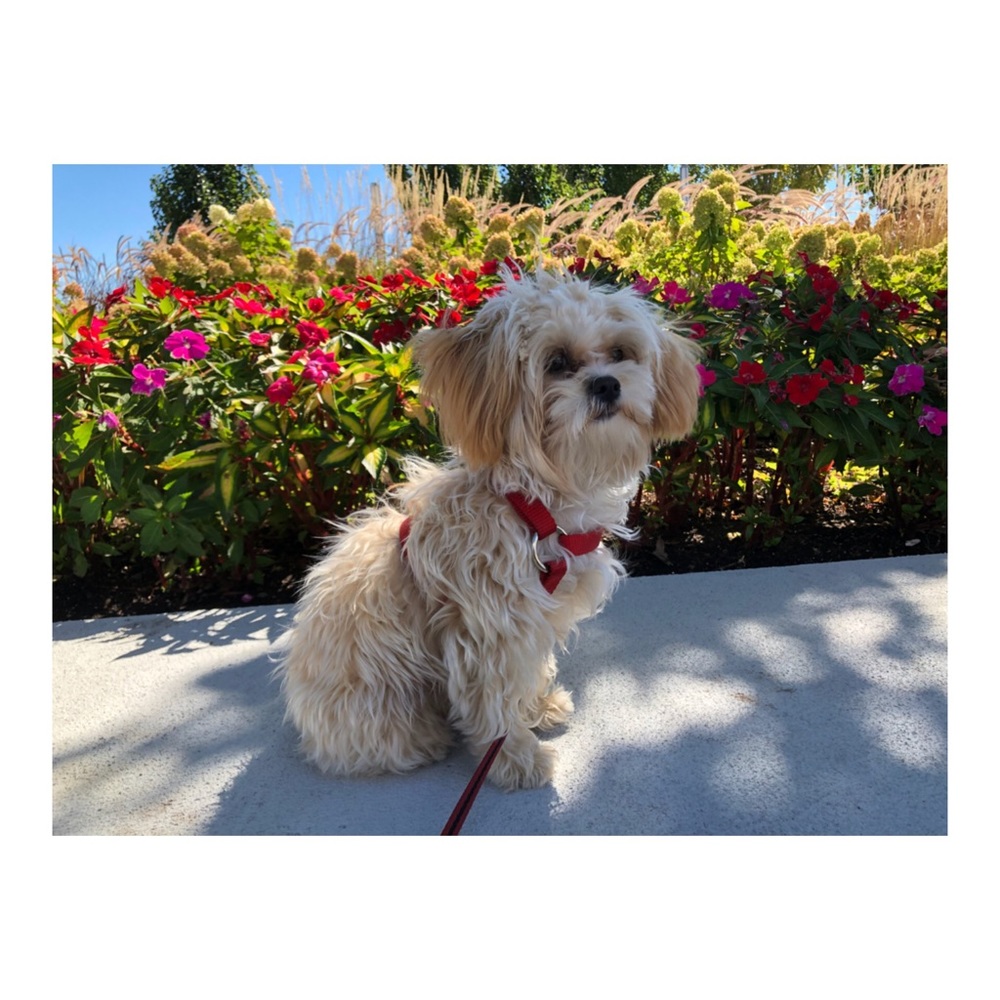 Meet your Posher, Rraimonda